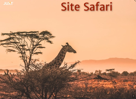 API development, quickly and securely